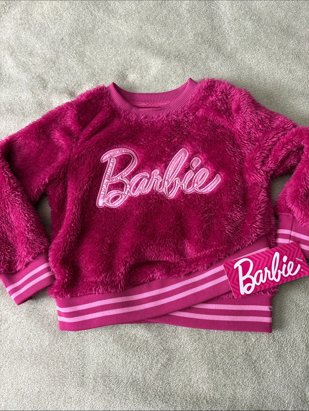 Barbie Plush Fuchsia Logo Hoodie Sweatshirt